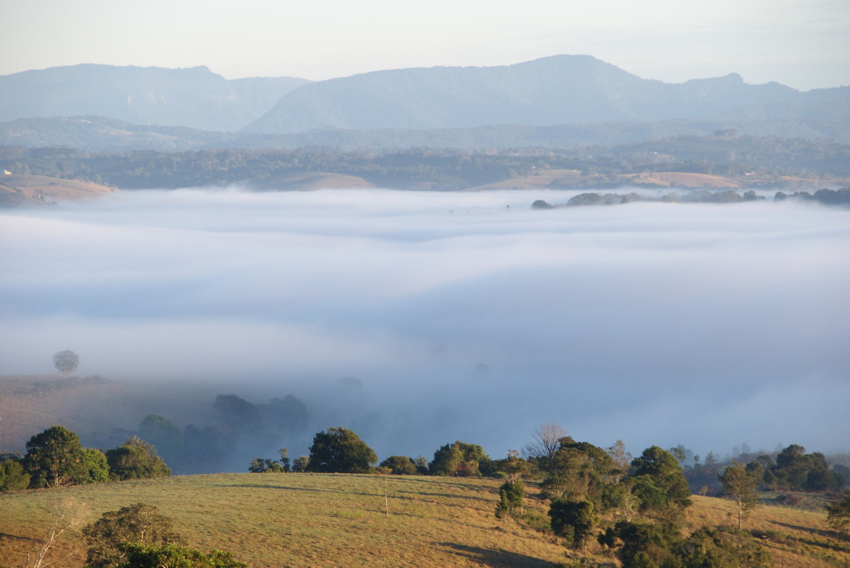 fogmist fog_mist_frost : McLeans Ridges, NSW   14 August 2009