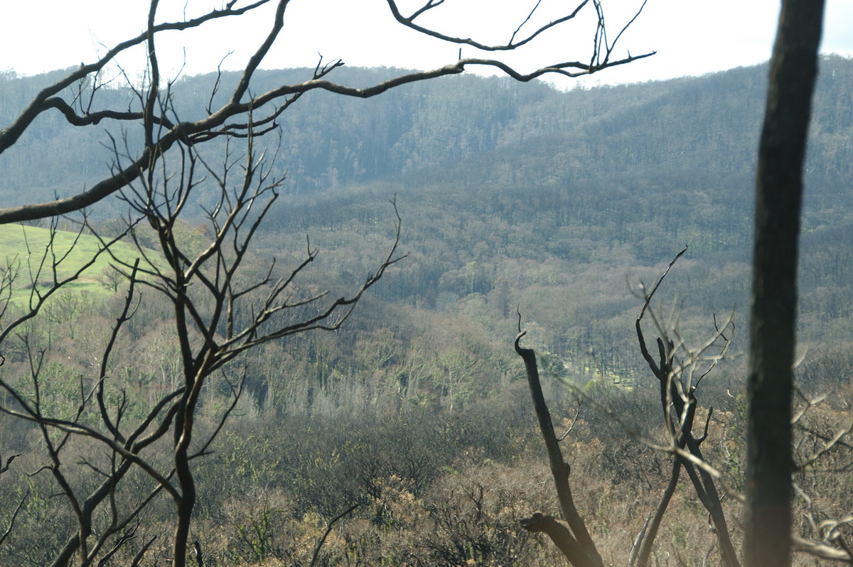 bushfire wild_fire : Kinglake, VIC   20 August 2009