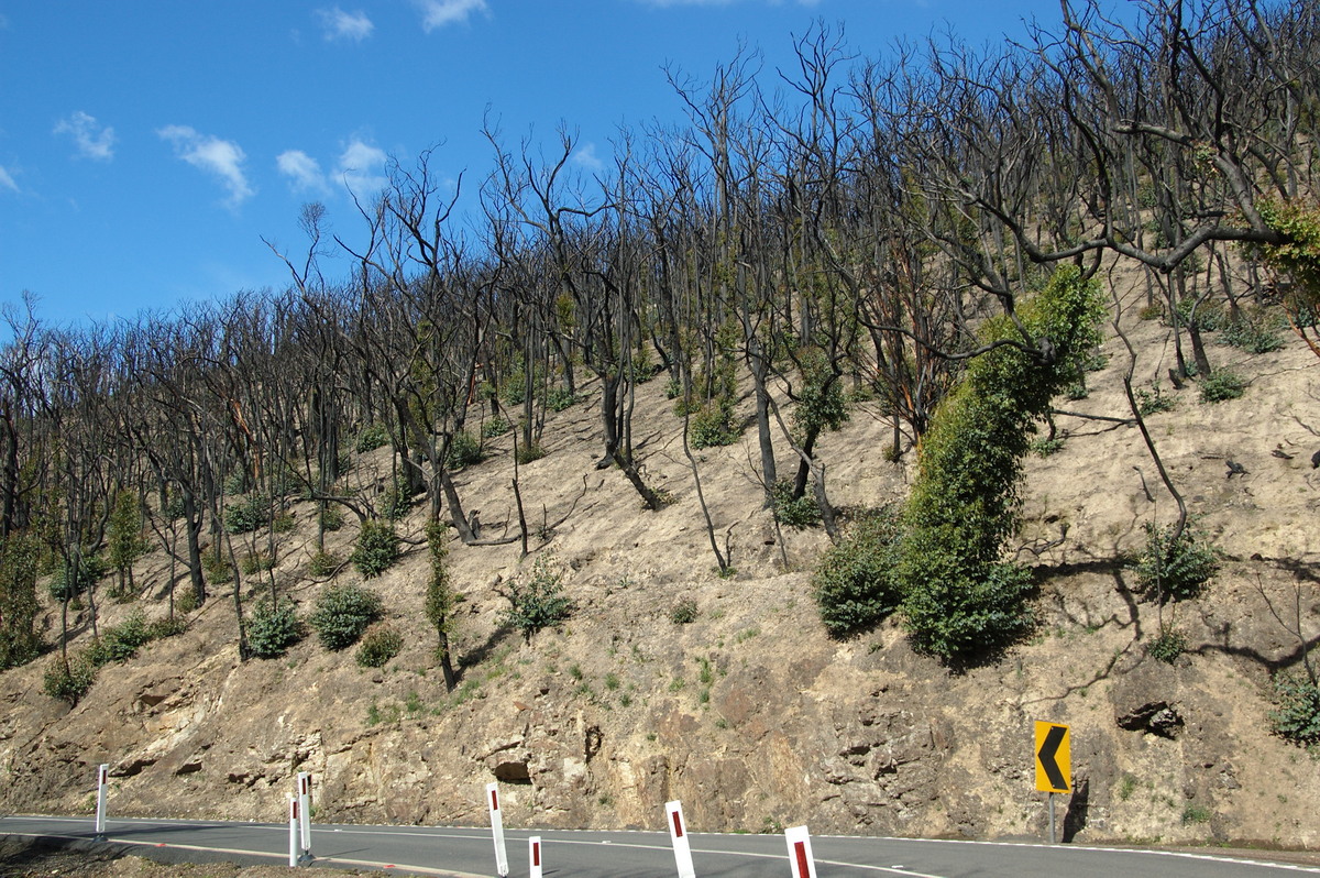 bushfire wild_fire : Kinglake, VIC   20 August 2009