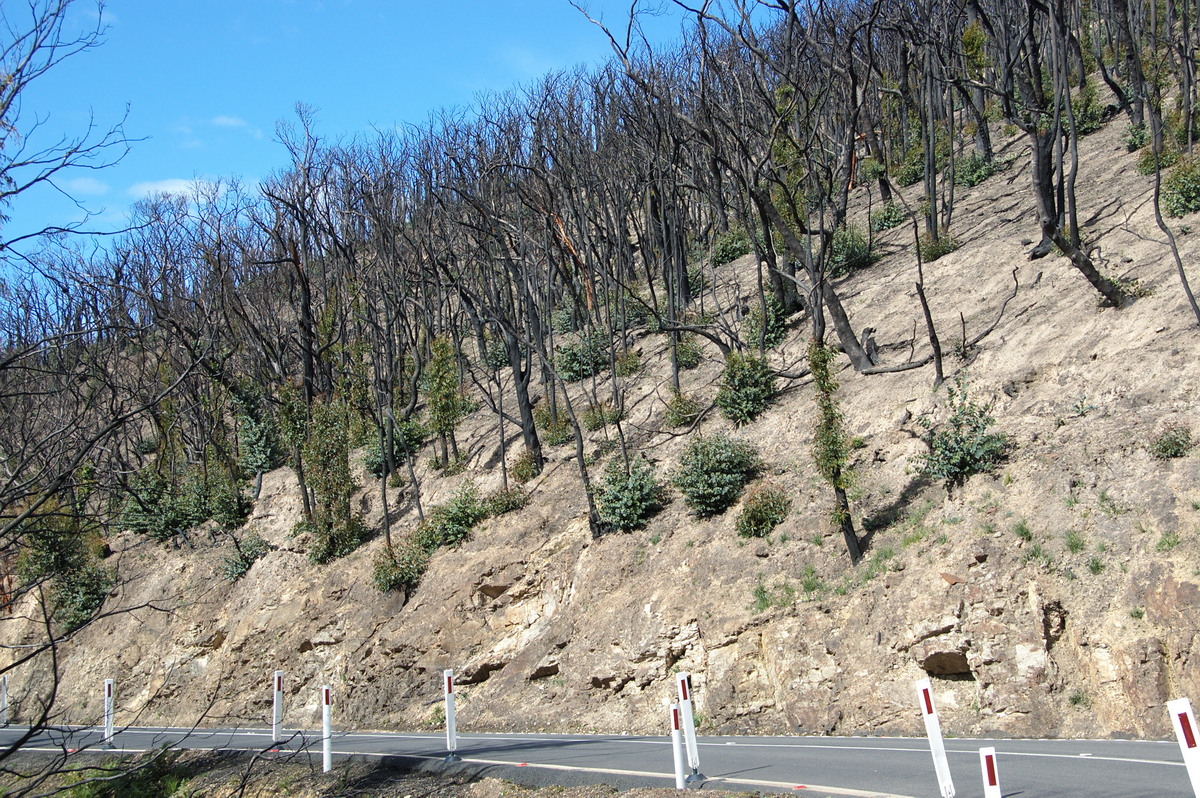 bushfire wild_fire : Kinglake, VIC   20 August 2009