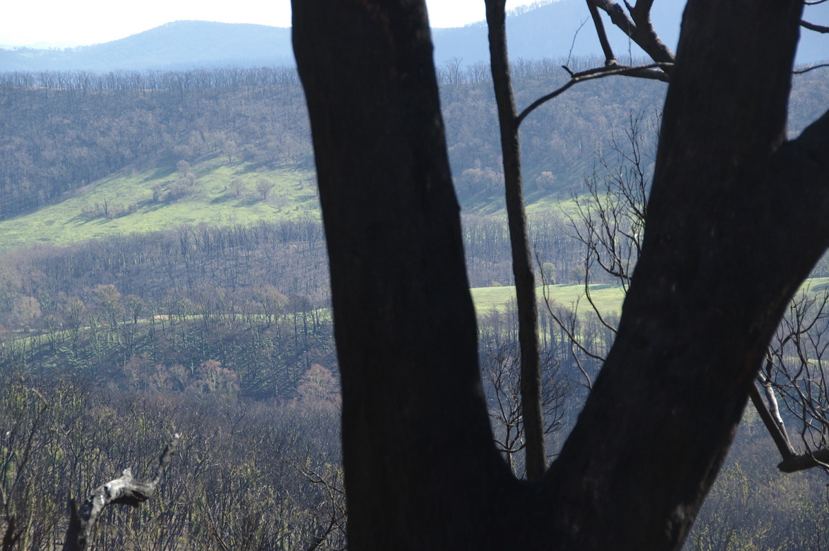 bushfire wild_fire : Kinglake, VIC   20 August 2009