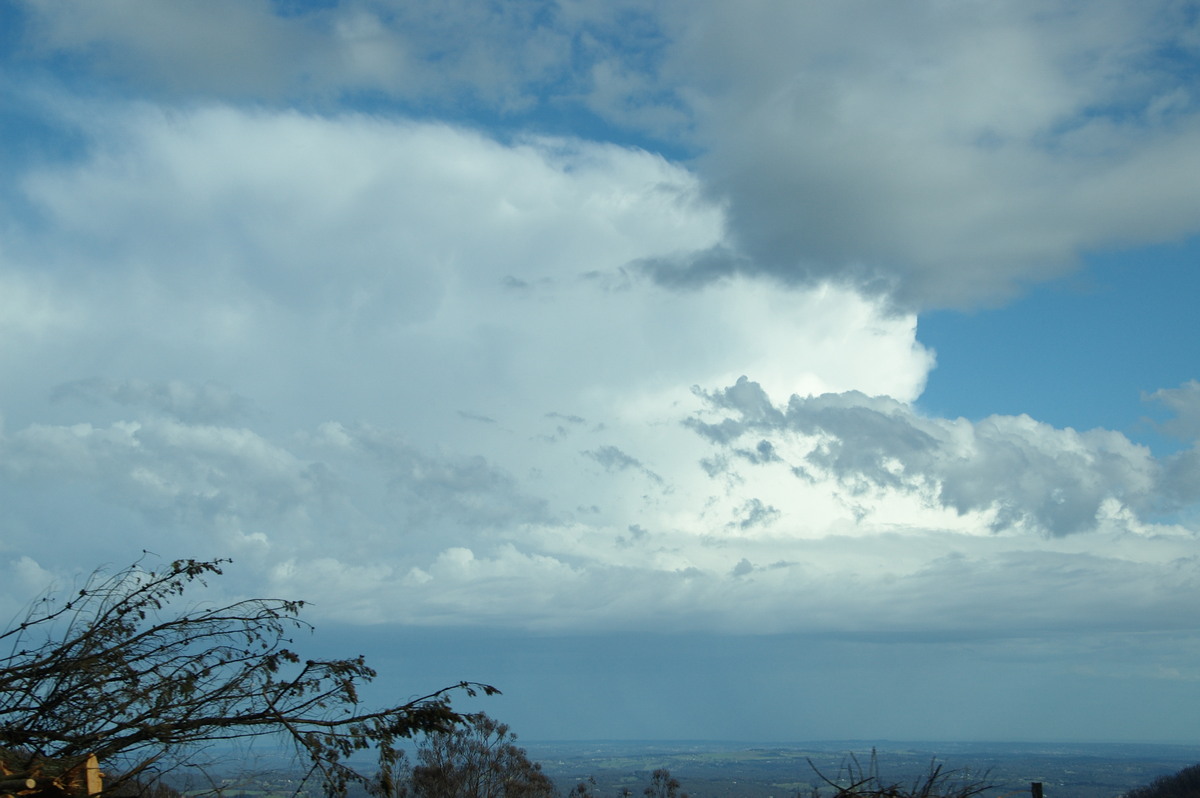 thunderstorm cumulonimbus_incus : Kinglake, VIC   20 August 2009