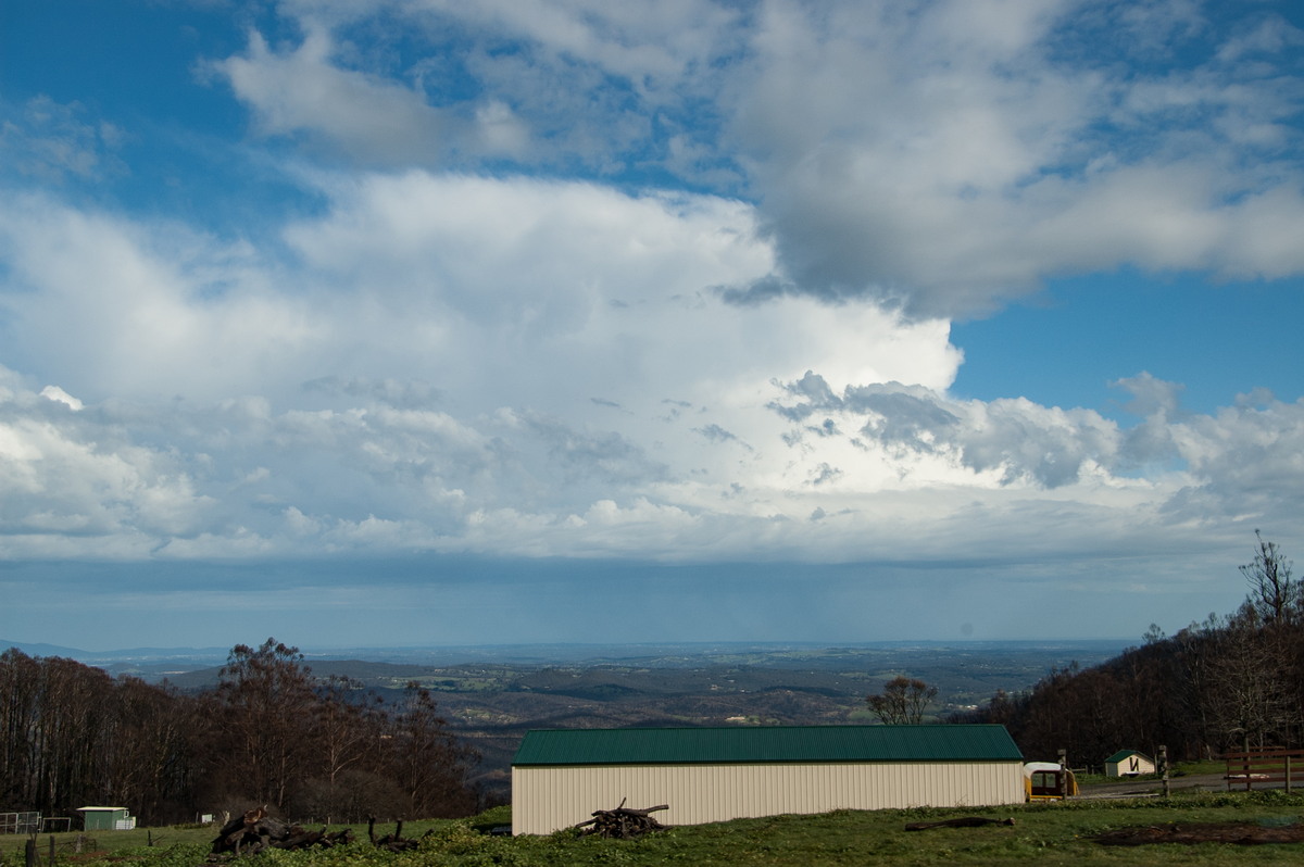 thunderstorm cumulonimbus_incus : Kinglake, VIC   20 August 2009