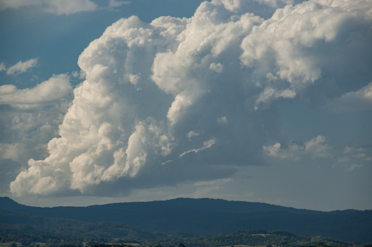 thunderstorm cumulonimbus_calvus : McLeans Ridges, NSW   8 September 2009