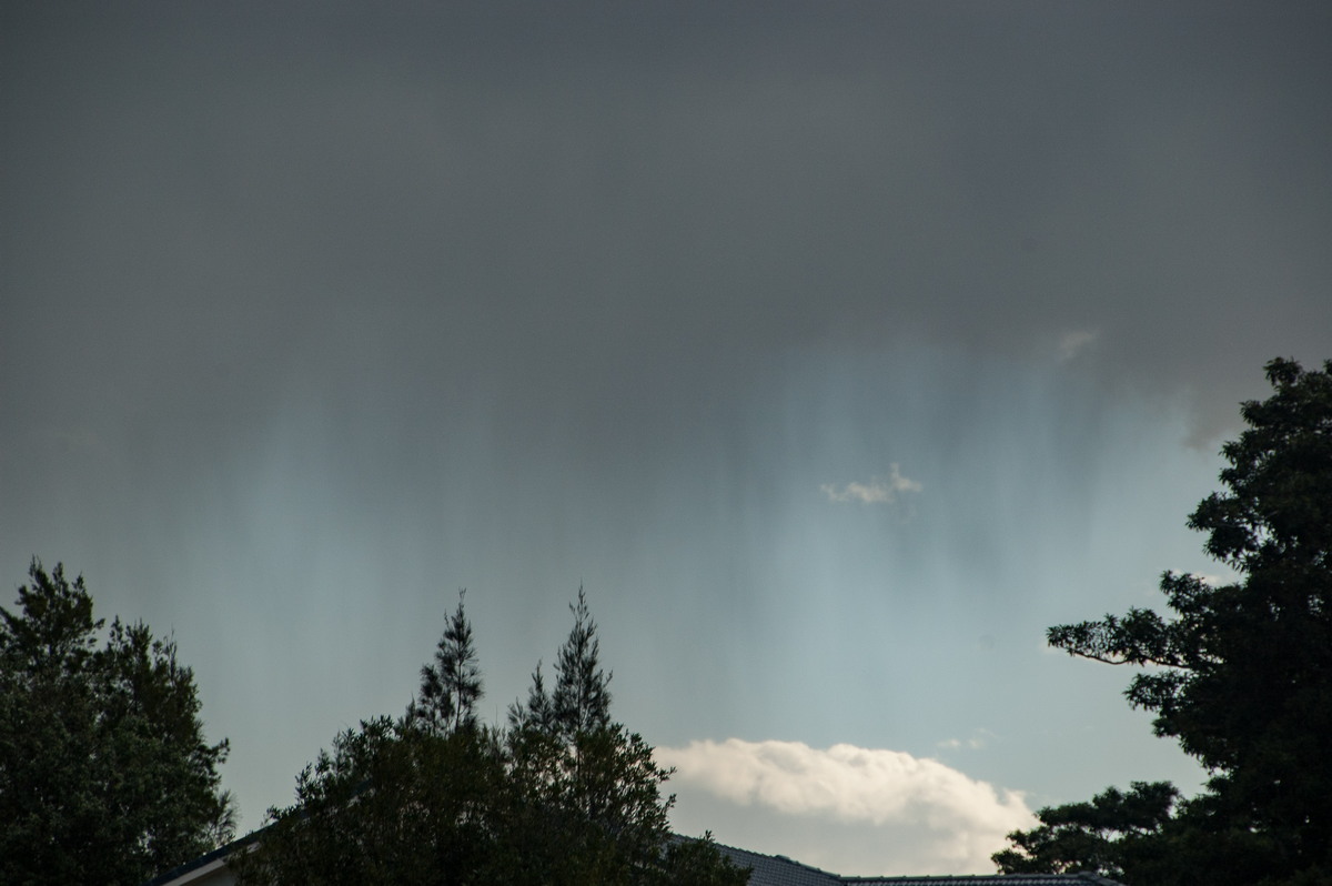 raincascade precipitation_cascade : McLeans Ridges, NSW   8 September 2009