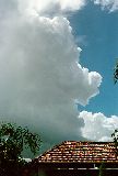 cumulonimbus_calvus