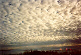 mackerel_sky