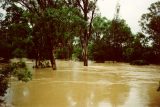 flood_pictures