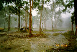 precipitation_rain