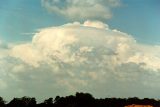 pileus_cap_cloud