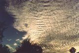 mackerel_sky