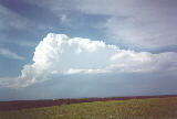 cumulonimbus_calvus