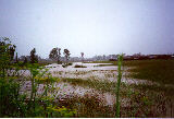 flood_pictures