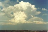 cumulonimbus_calvus