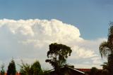 cumulonimbus_incus