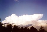 cumulonimbus_calvus