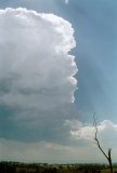 cumulonimbus_calvus