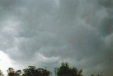 mammatus_cloud