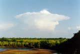 cumulonimbus_incus