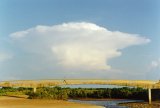 pileus_cap_cloud