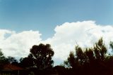 cumulonimbus_incus