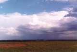 cumulonimbus_calvus