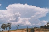 cumulonimbus_incus