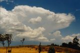 Purchase a poster or print of this weather photo