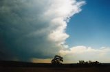 cumulonimbus_incus