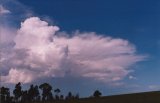 cumulonimbus_calvus