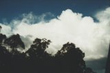 cumulonimbus_incus