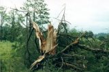 storm_damage