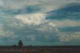 near Quirindi 12:20pm