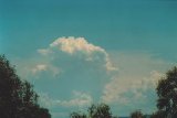 cumulonimbus_calvus