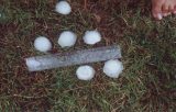 5-6cm hail at Casino 6.30pm