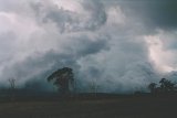 thunderstorm_updrafts