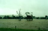 flood_pictures