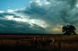 Australian Severe Weather Picture