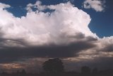 cumulonimbus_calvus