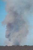 wild_fire