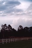 cumulonimbus_incus