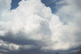 cumulonimbus_calvus