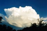 cumulonimbus_calvus