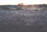 fog_mist_frost