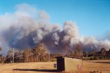 wild_fire