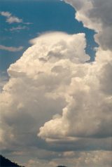 pileus_cap_cloud