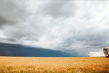 Purchase a poster or print of this weather photo