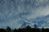 mackerel_sky