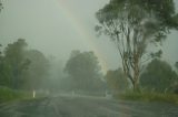 precipitation_rain