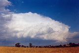 cumulonimbus_incus